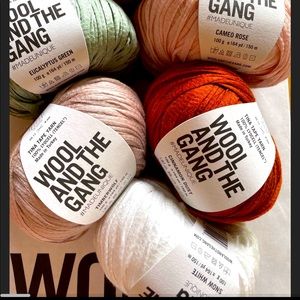 Wool and the Gang Tina tape yarn - cameo rose